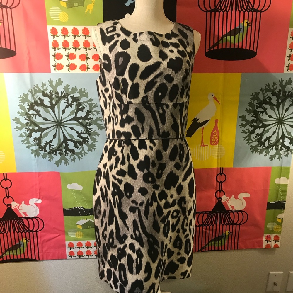 Ann Taylor Cool Gray Leopard Print Dress Size 10